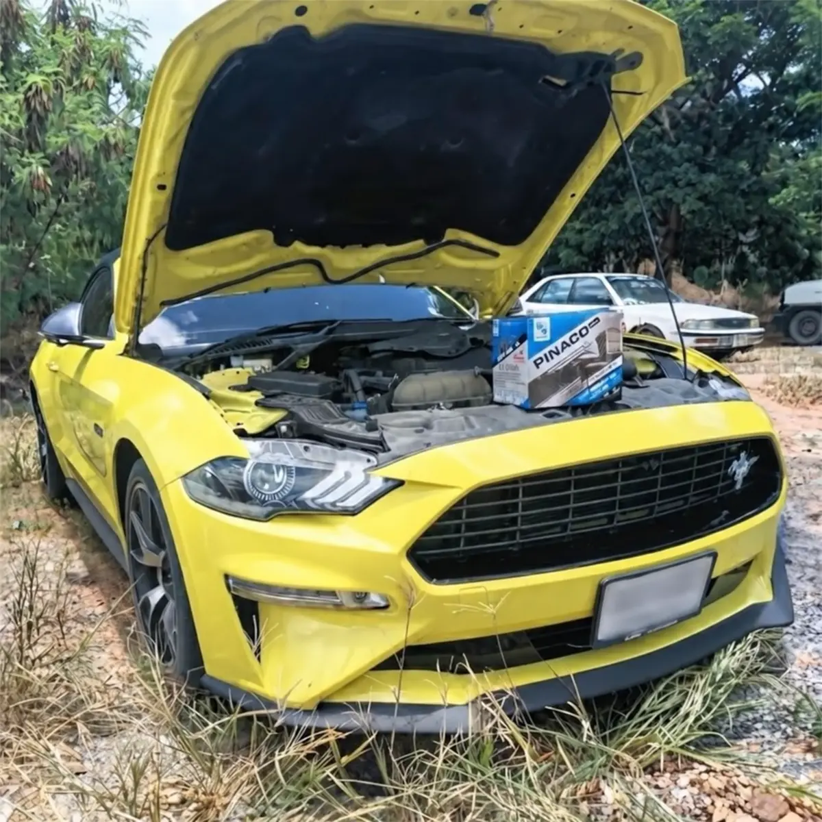 ผลงานจริง JP Battery Phuket เปลี่ยนแบตเตอรี่ PINACO สำหรับรถ Ford Mustang